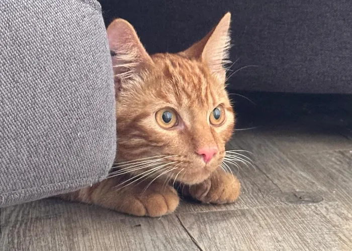 Отель Le Бейонн