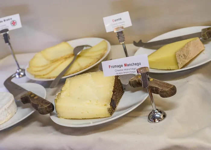 酒店 巴约讷酒店